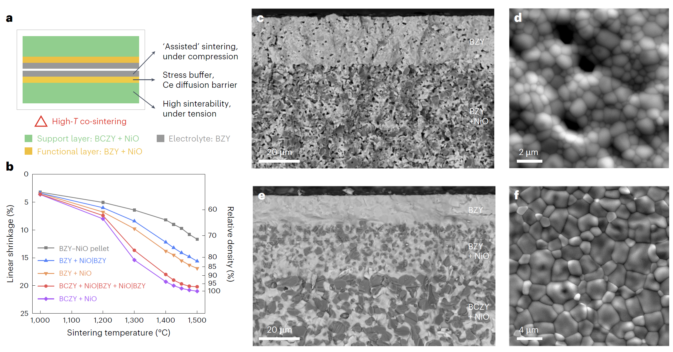 董岩皓课题组合作报道锆酸钡陶瓷烧结进展